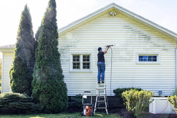 Best Roof Power Washing Services  in Epworth, IA